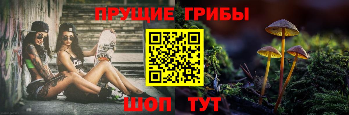 Псилоцибиновые грибы мицелий Россия
