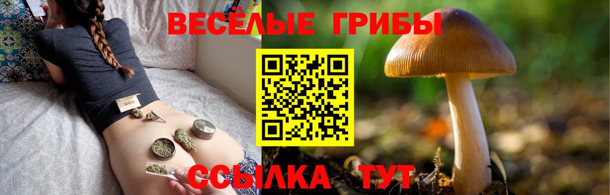 Псилоцибиновые грибы прущие грибы  Вход с VPN  что такое   Псилоцибиновые грибы ЛСД  Россия 