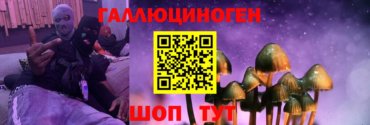 ТГК  Вход с VPN  ГАШИШ  Бошки Шишки  Россия  Мефедрон кристаллы  Меф  Кокаин 
